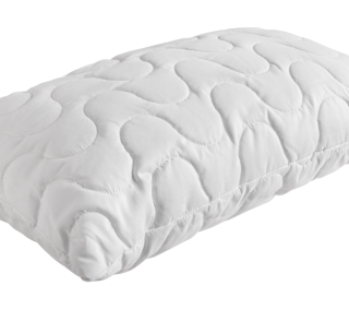 Forty Winks Dream Genie Chip Latex Pillow